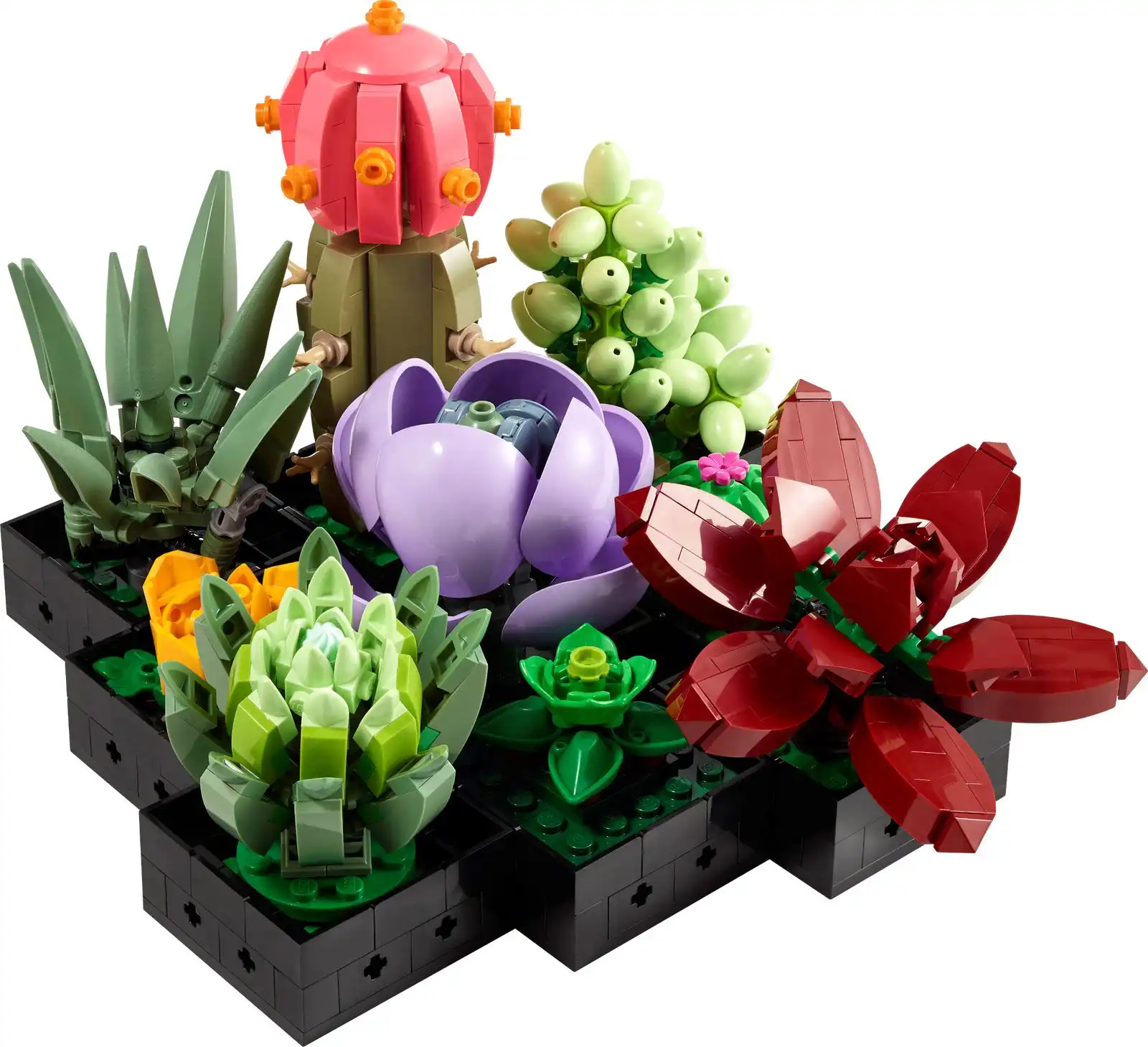 Zdjecie zestawu LEGO 10309 Creator Expert Sukulenty 2