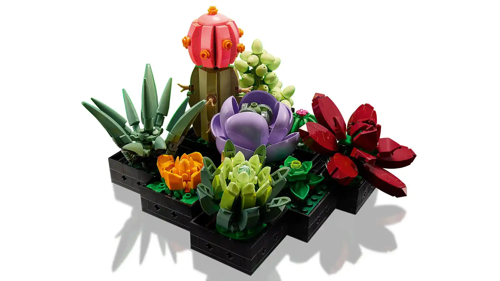 Zdjecie zestawu LEGO 10309 Creator Expert Sukulenty 4