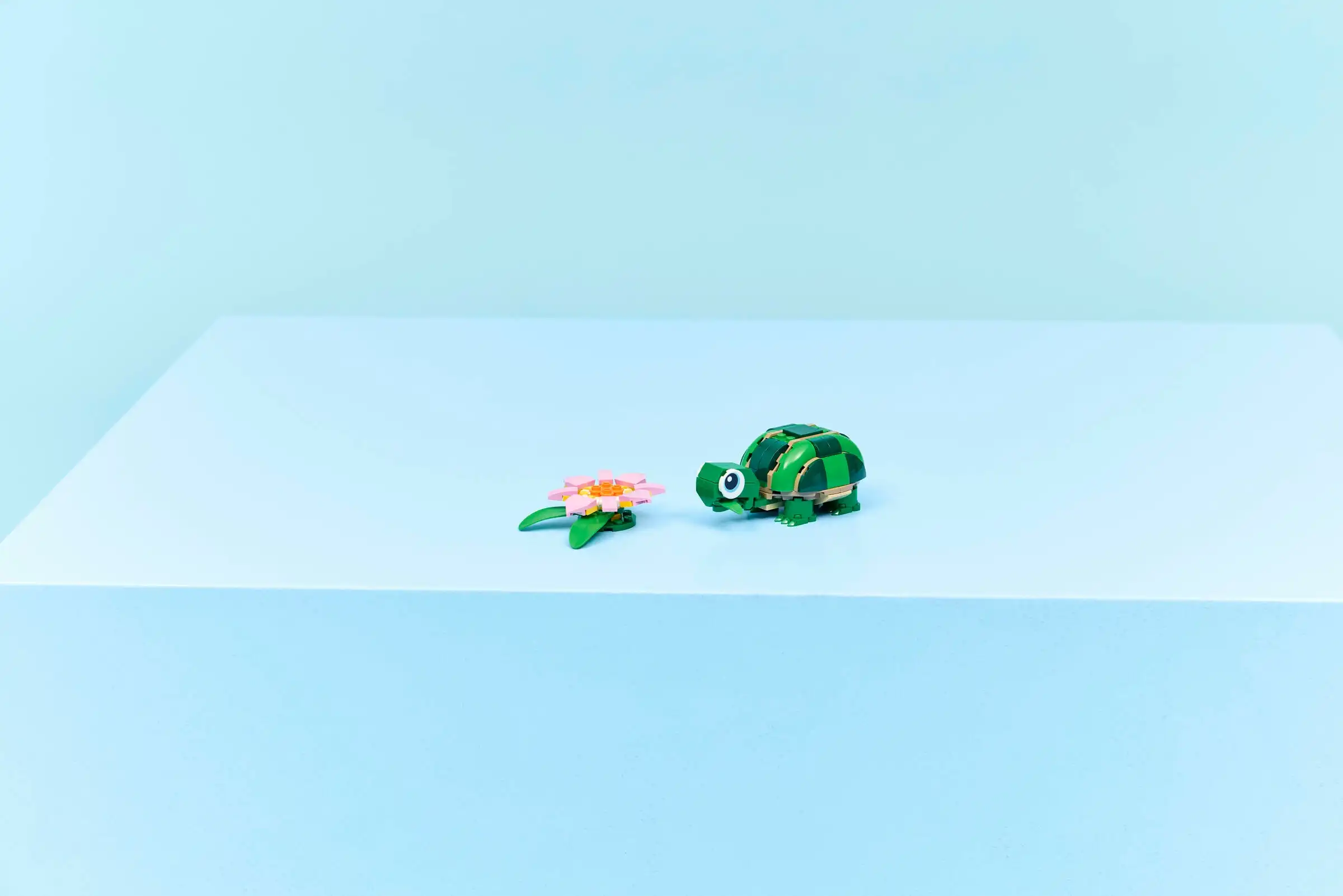 https://app.faniklockow.pl/assets/SET_PHOTO/529120/529120-8.webp