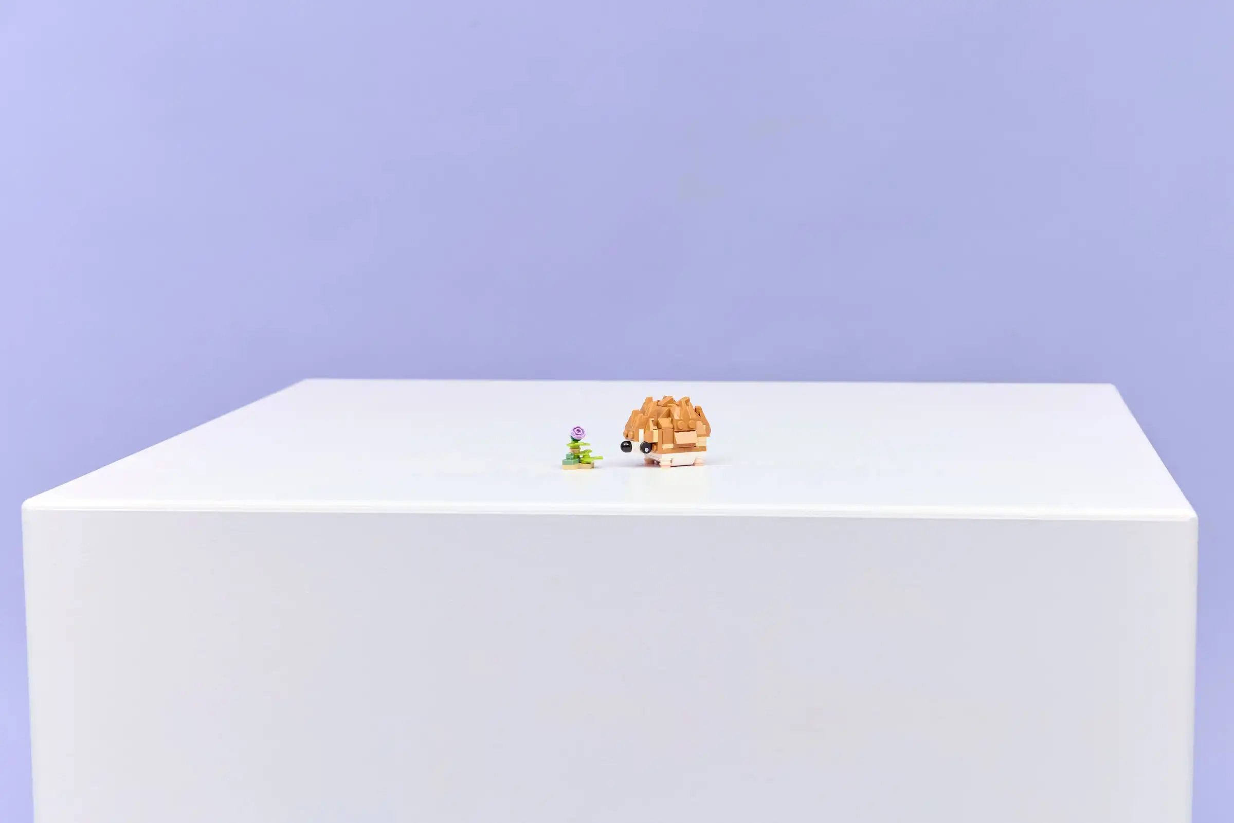 https://app.faniklockow.pl/assets/SET_PHOTO/529121/529121-9.webp