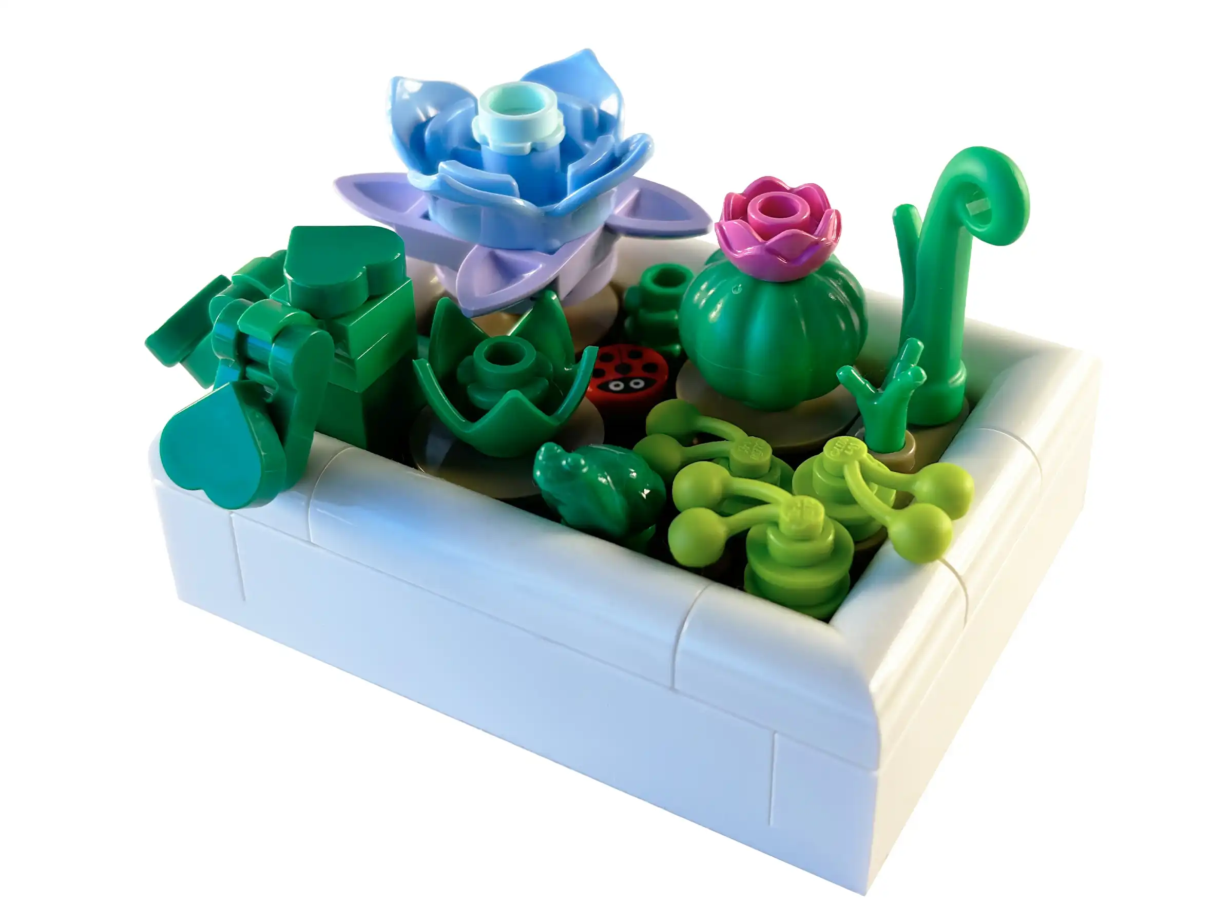 Zdjecie zestawu LEGO 5010093 The Botanical Collection Mały ogród pustynny 3
