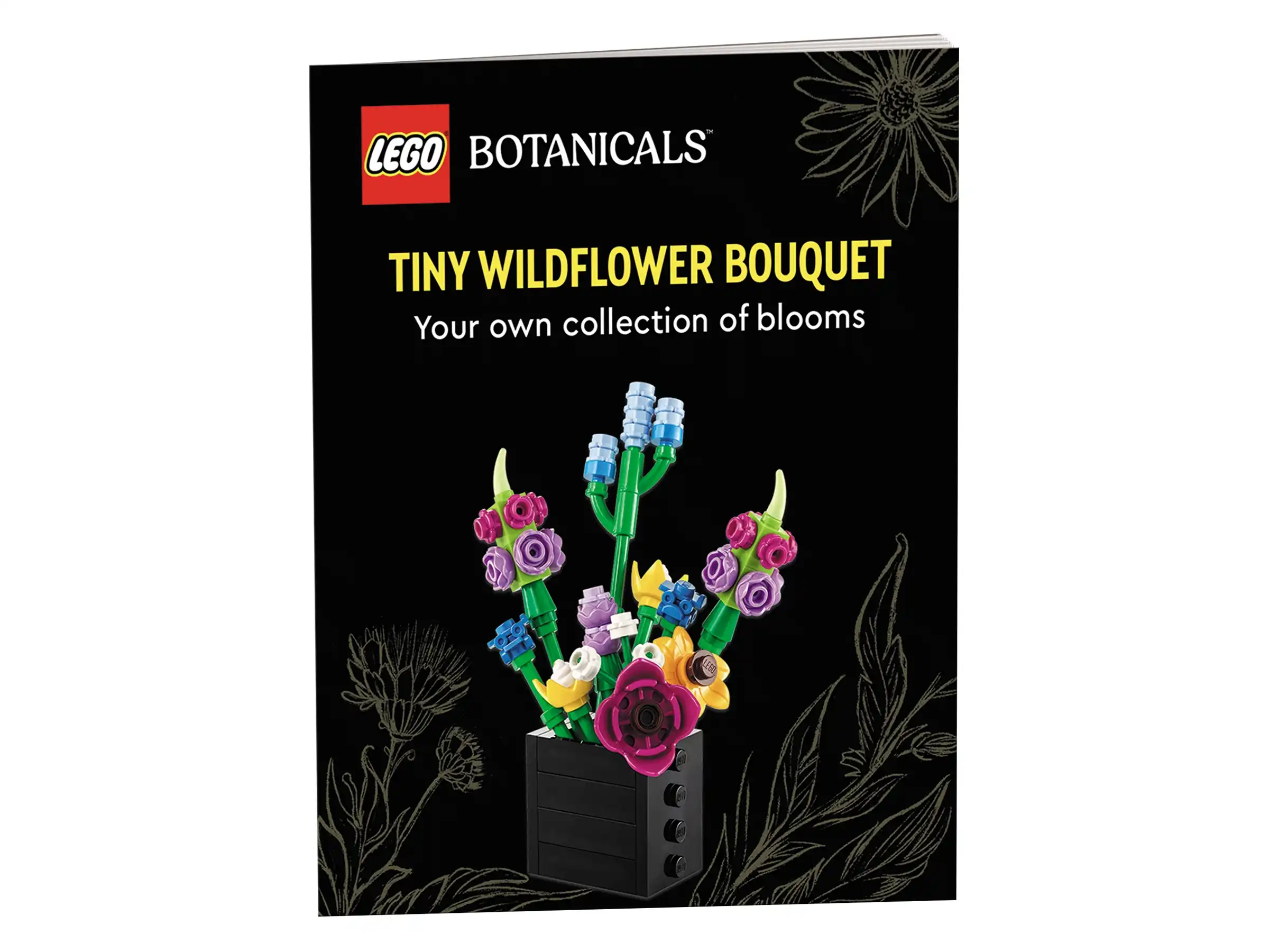Zdjecie zestawu LEGO 5010092 The Botanical Collection Mały ogród pustynny 2