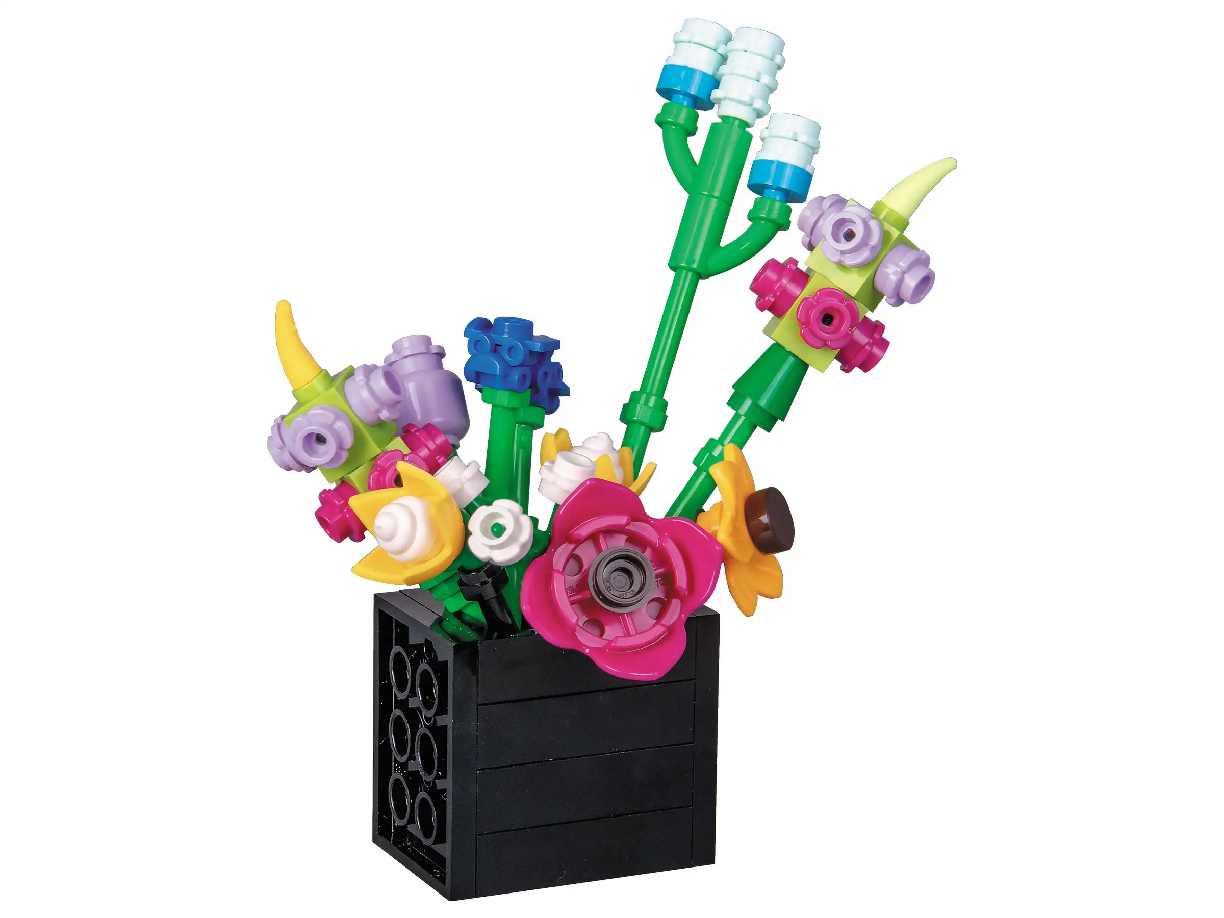 Zdjecie zestawu LEGO 5010092 The Botanical Collection Mały ogród pustynny 3