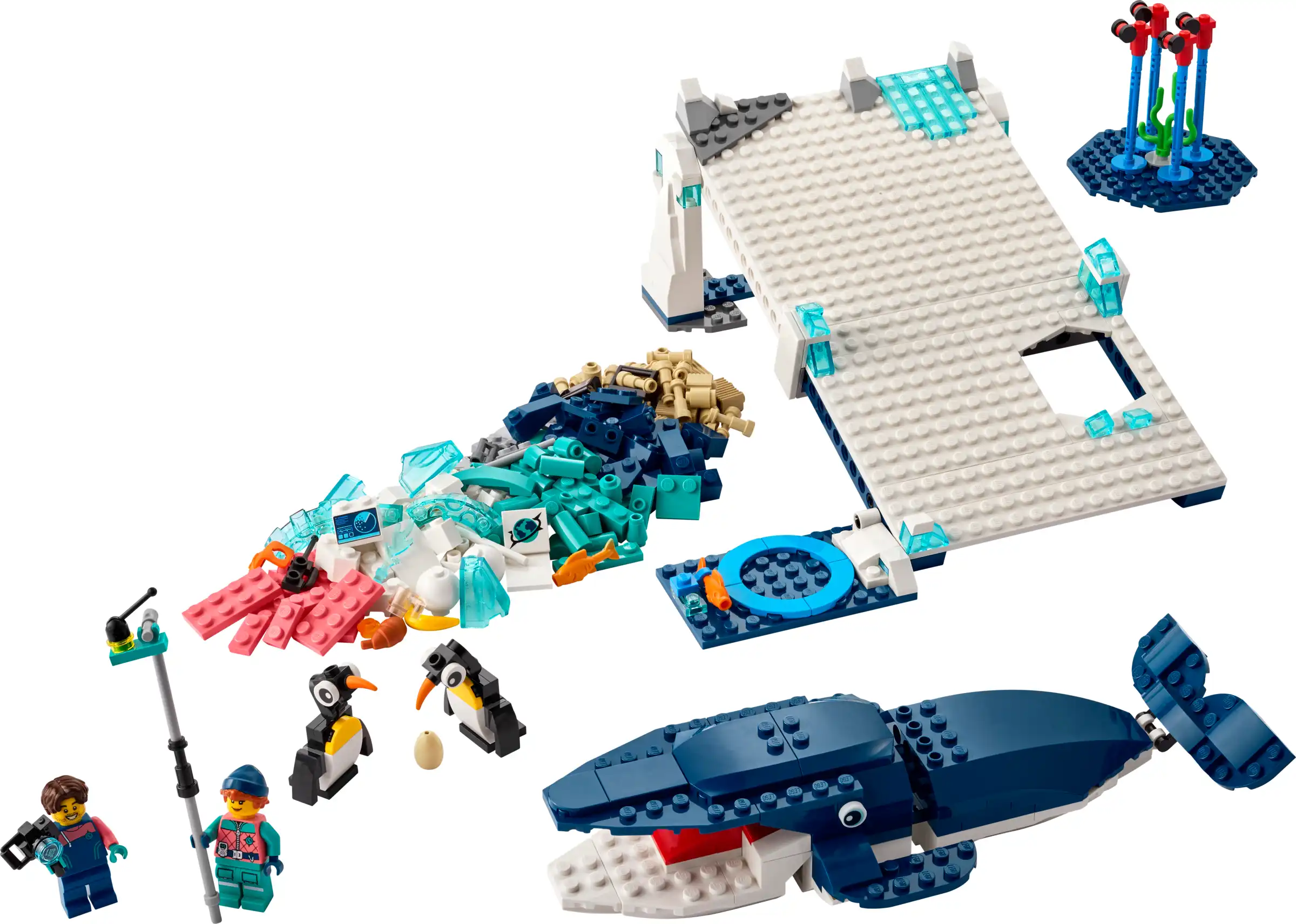 Zdjecie zestawu LEGO 45201 Education Zestaw naukowy ze zwierzętami Antarktydy 4