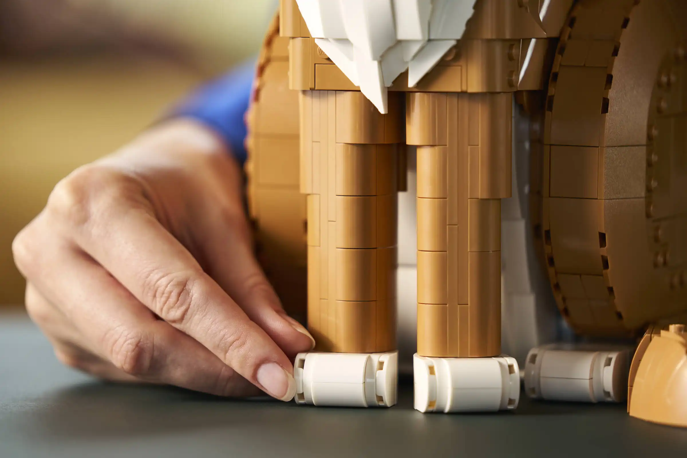 Zdjecie zestawu LEGO 21376 Ideas Rudy kot 1