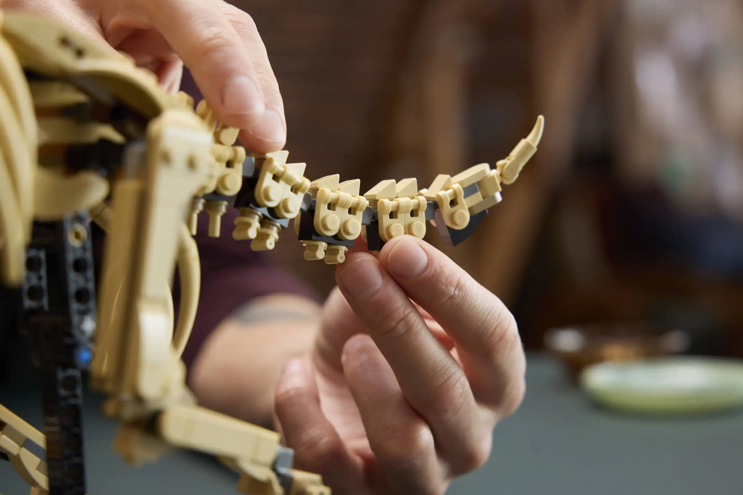 Zdjecie zestawu LEGO 77985 Jurassic World Szkielety dinozaurów: triceratops 1