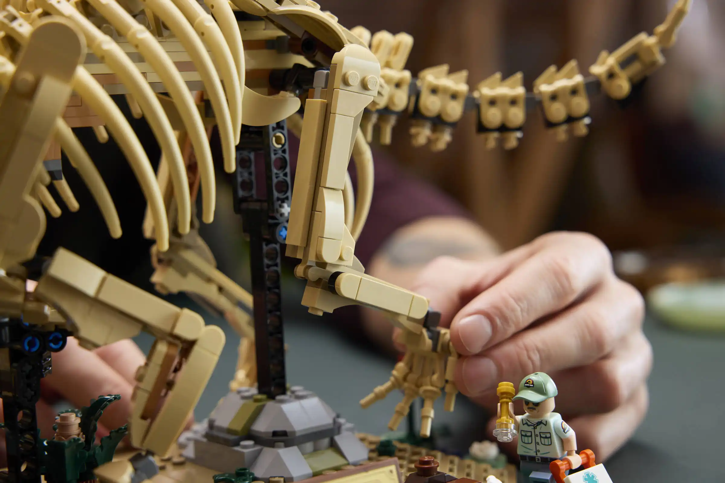 Zdjecie zestawu LEGO 77985 Jurassic World Szkielety dinozaurów: triceratops 2