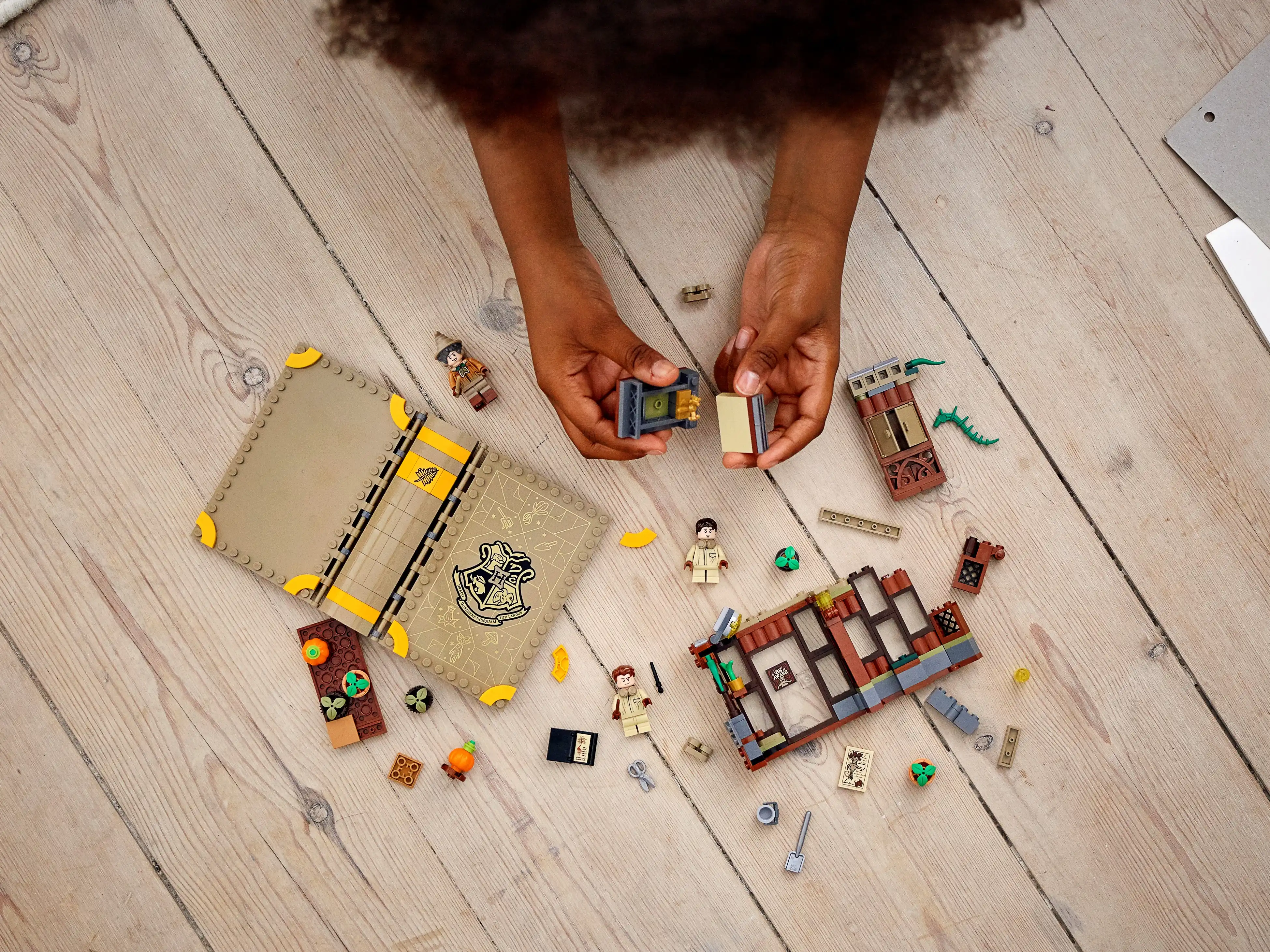 Zdjecie zestawu LEGO 76384 Harry Potter Chwile z Hogwartu™: zajęcia z zielarstwa 2
